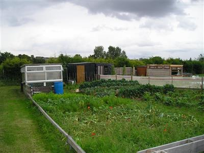 allotments